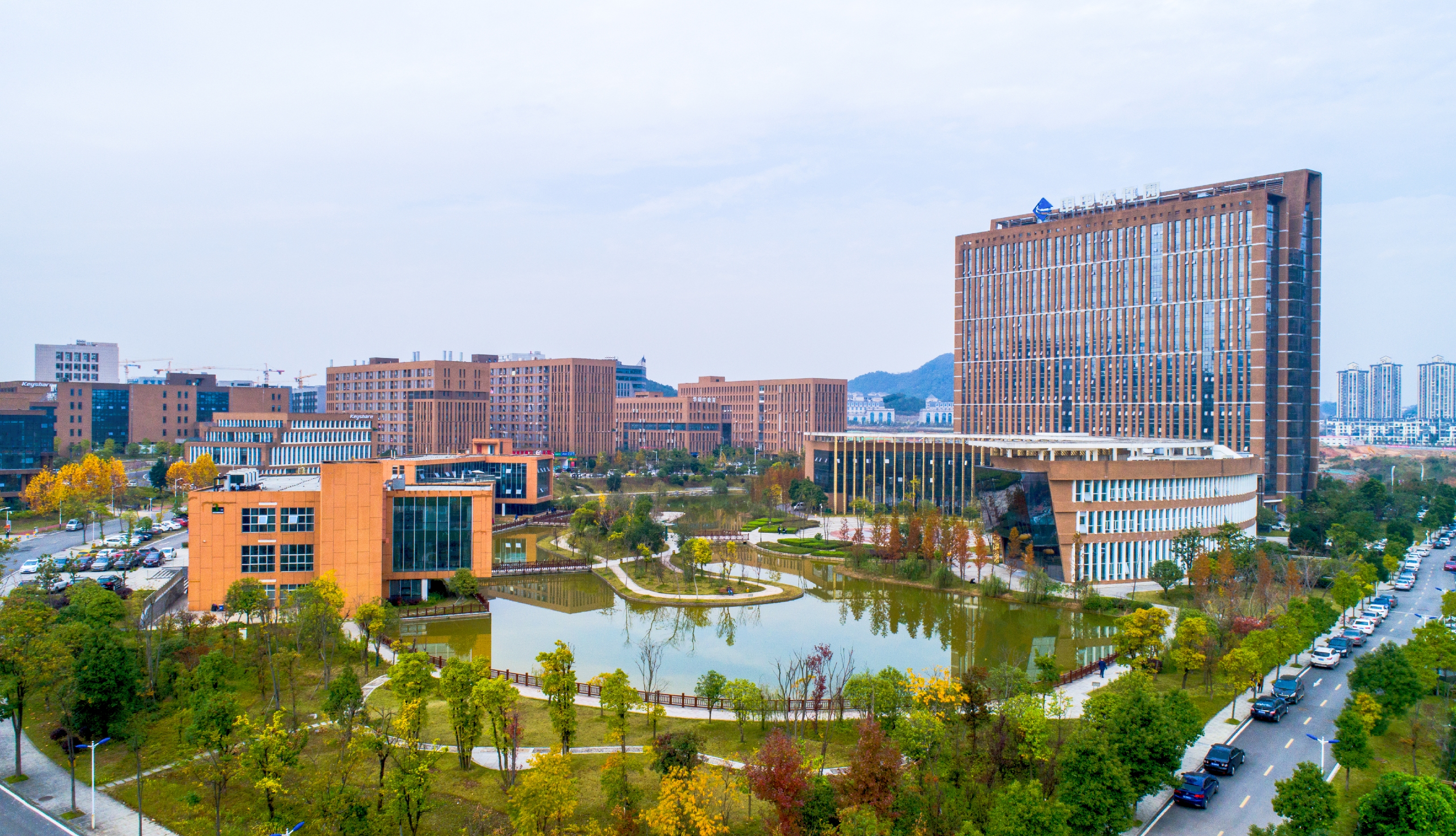 1656493534013730818.jpg 1656493534013730818.jpg