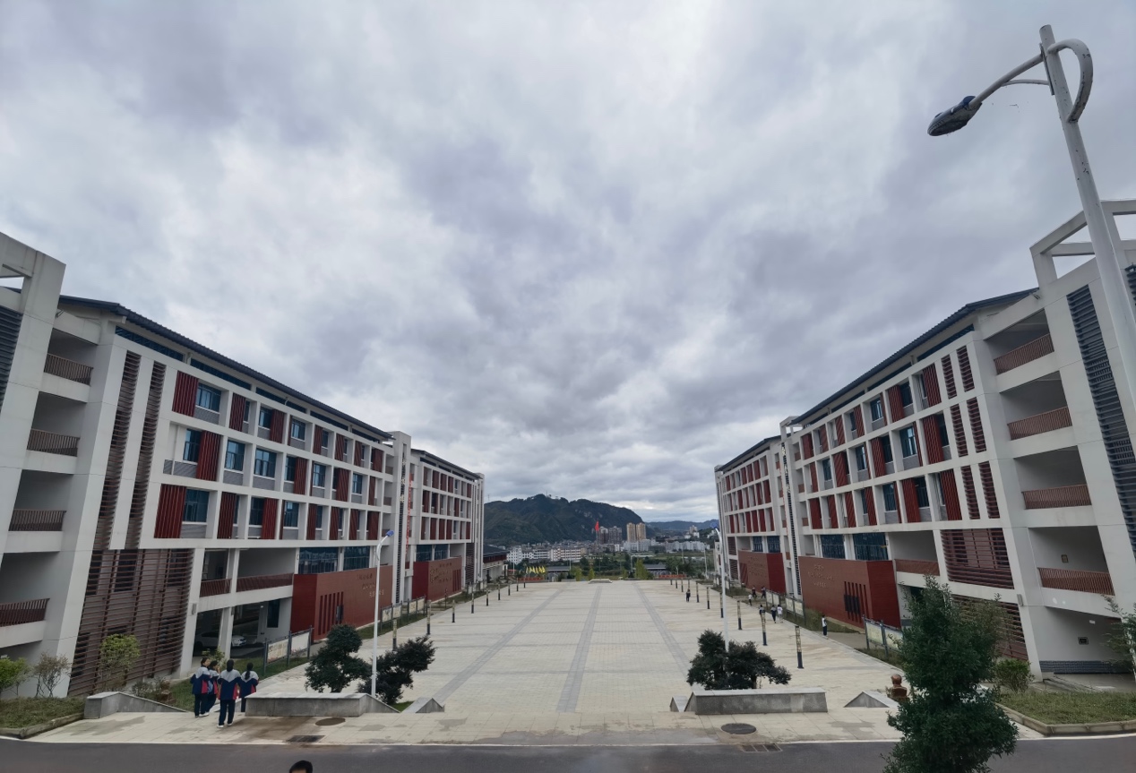 1698624529147797505.jpg 1698624529147797505.jpg