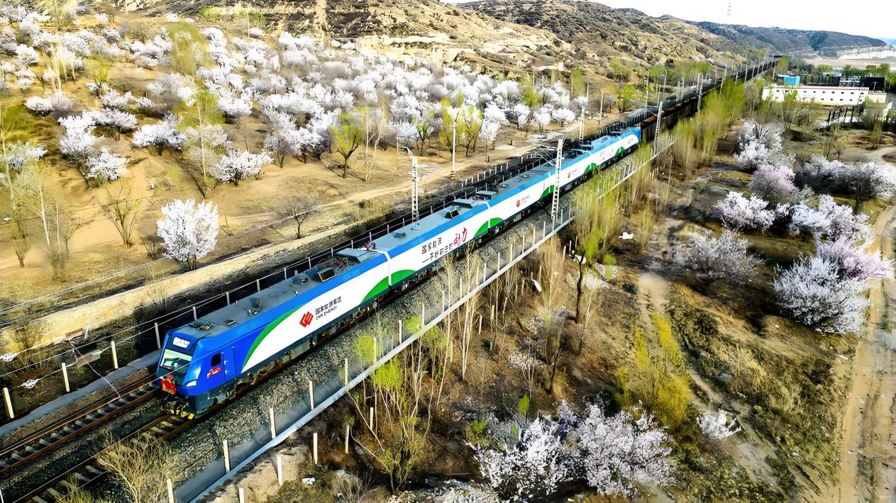 1988414724598820865.jpg 1988414724598820865.jpg