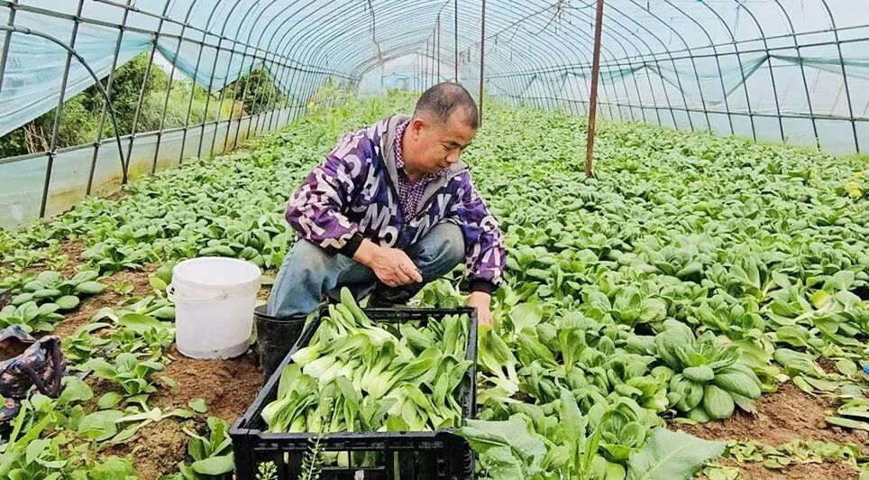 5001拉斯维加斯(中国游)有限公司-BinG百科